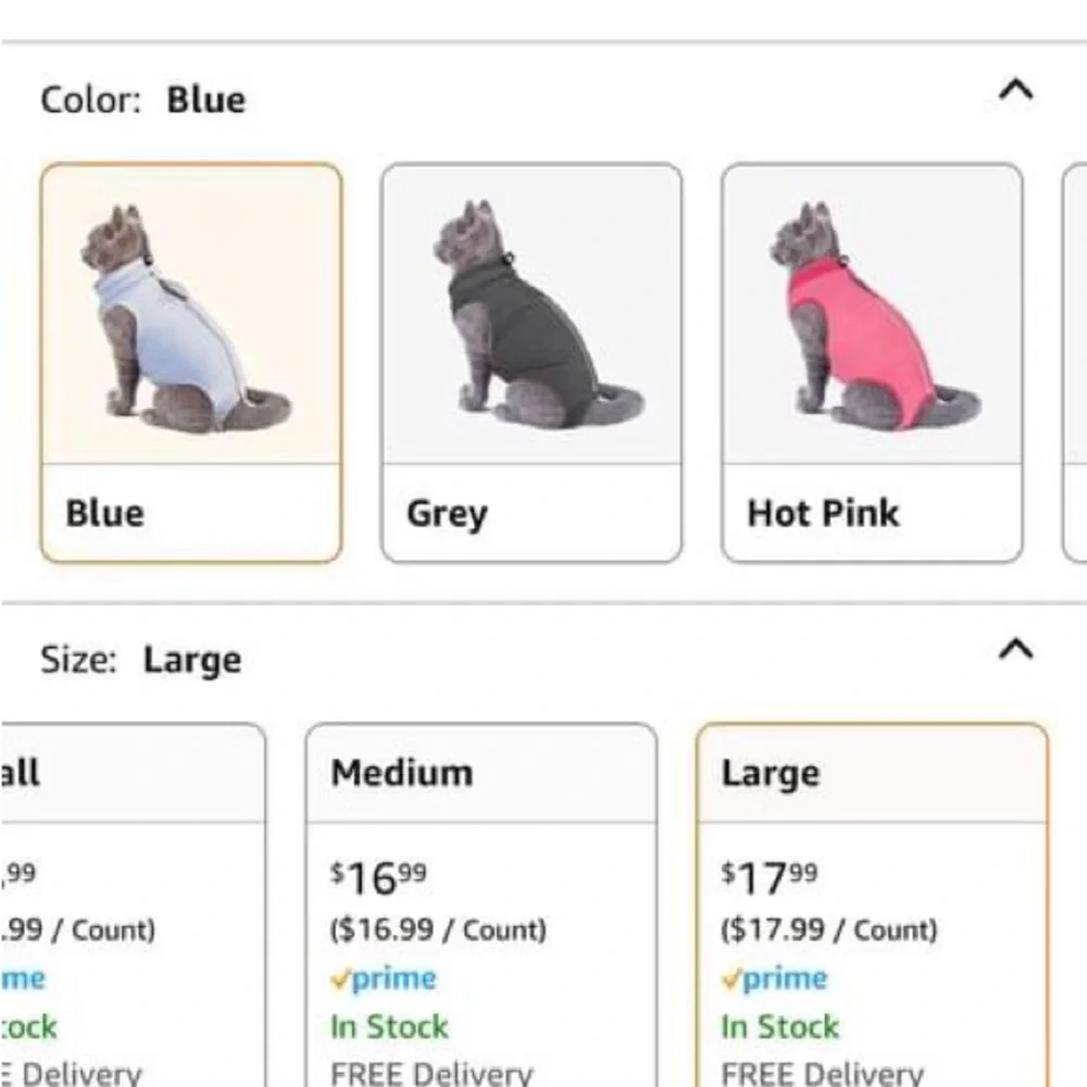 Large blue cat suite